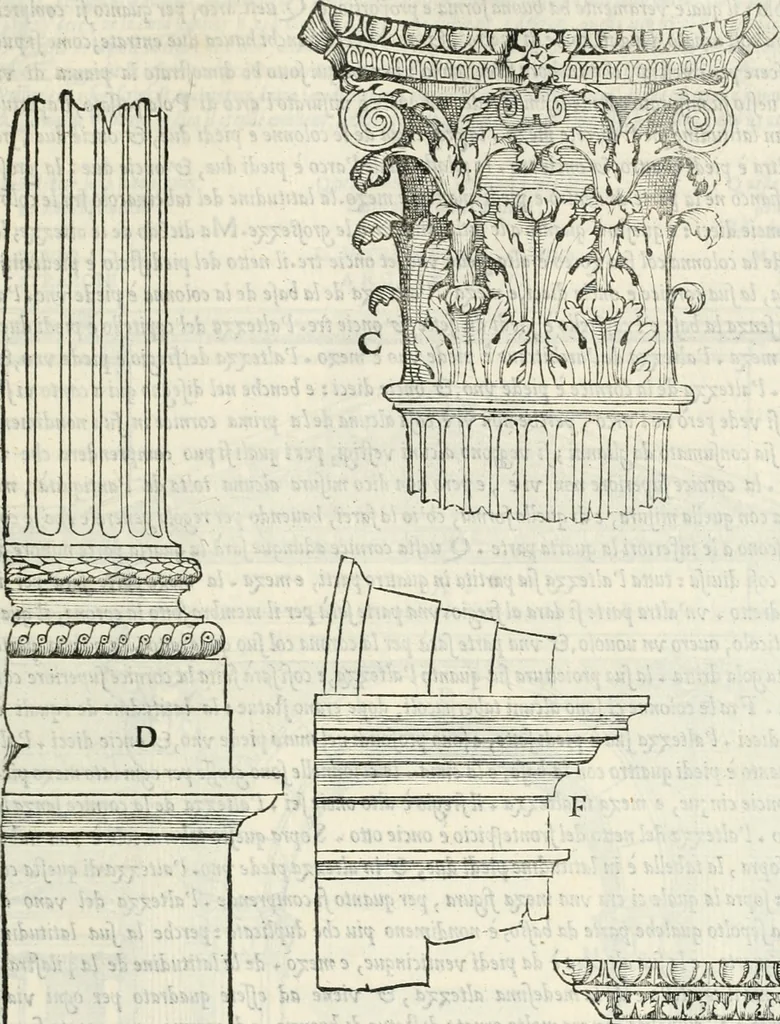 An illustration from Il terzo libro : nel qval si figvrano, e descrivono le antiqvita di Roma, e le altre che sono in Italia e fvori d'Italia ..., 1540, leaf 134