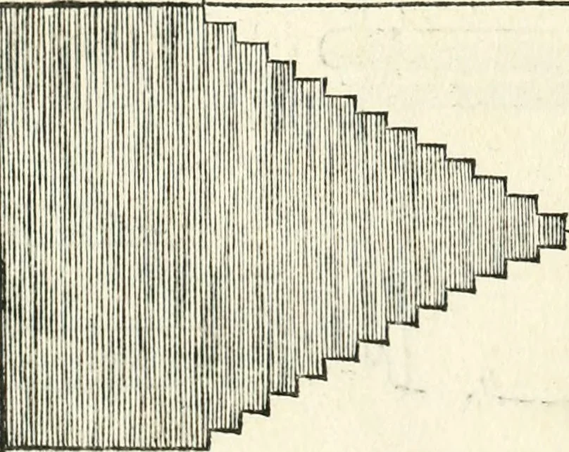 An illustration from Il terzo libro : nel qval si figvrano, e descrivono le antiqvita di Roma, e le altre che sono in Italia e fvori d'Italia ..., 1540, leaf 151