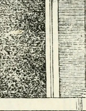 An illustration from Il terzo libro : nel qval si figvrano, e descrivono le antiqvita di Roma, e le altre che sono in Italia e fvori d'Italia ..., 1540, leaf 154