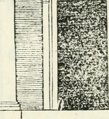 An illustration from Il terzo libro : nel qval si figvrano, e descrivono le antiqvita di Roma, e le altre che sono in Italia e fvori d'Italia ..., 1540, leaf 154
