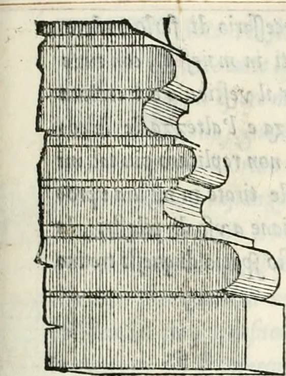 An illustration from Il terzo libro : nel qval si figvrano, e descrivono le antiqvita di Roma, e le altre che sono in Italia e fvori d'Italia ..., 1540, leaf 16