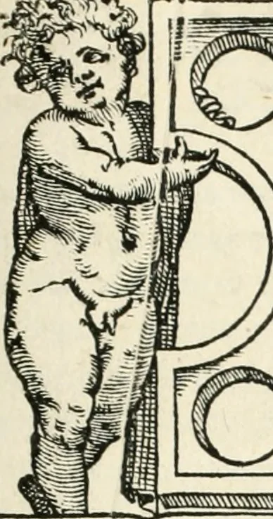 An illustration from Il terzo libro : nel qval si figvrano, e descrivono le antiqvita di Roma, e le altre che sono in Italia e fvori d'Italia ..., 1540, leaf 6
