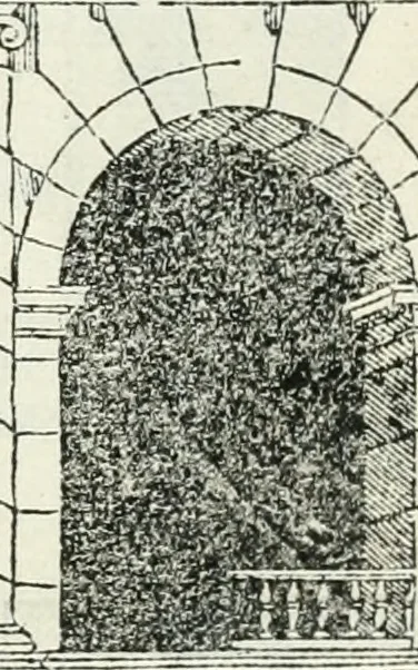 An illustration from Il terzo libro : nel qval si figvrano, e descrivono le antiqvita di Roma, e le altre che sono in Italia e fvori d'Italia ..., 1540, leaf 74