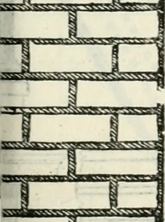 An illustration from Il terzo libro : nel qval si figvrano, e descrivono le antiqvita di Roma, e le altre che sono in Italia e fvori d'Italia ..., 1540, leaf 86