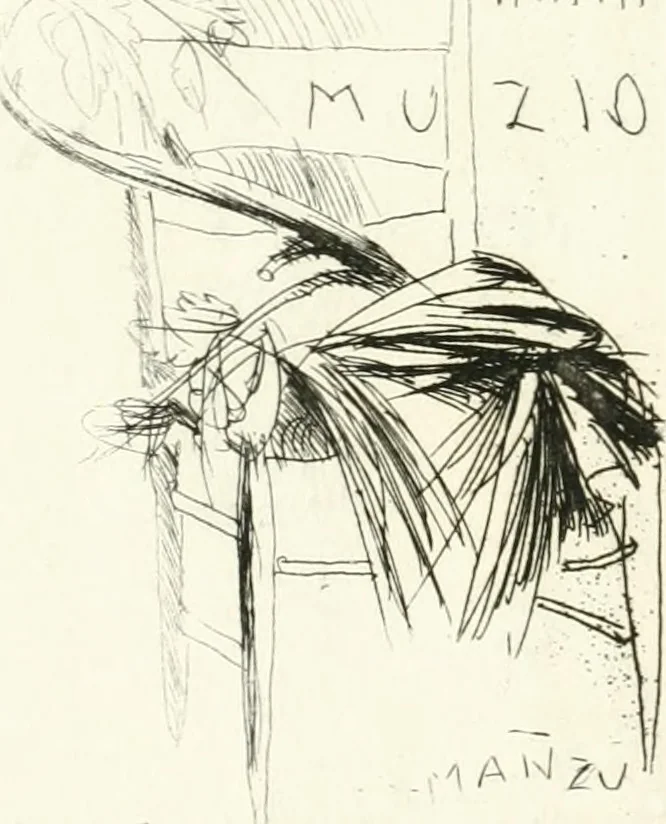 An illustration from Il terzo [-qvinto] libro ..., 1551, leaf 1