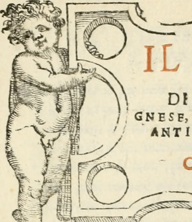 An illustration from Il terzo [-qvinto] libro ..., 1551, leaf 100