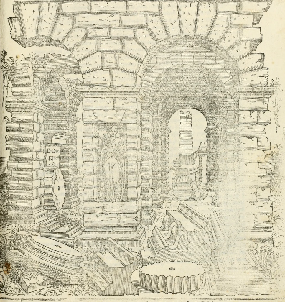 An illustration from Il terzo [-qvinto] libro ..., 1551, leaf 100