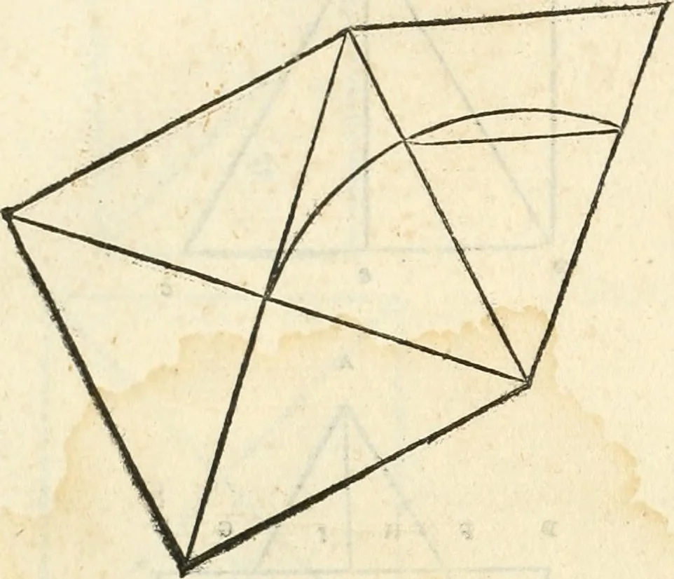 An illustration from Il terzo [-qvinto] libro ..., 1551, leaf 11