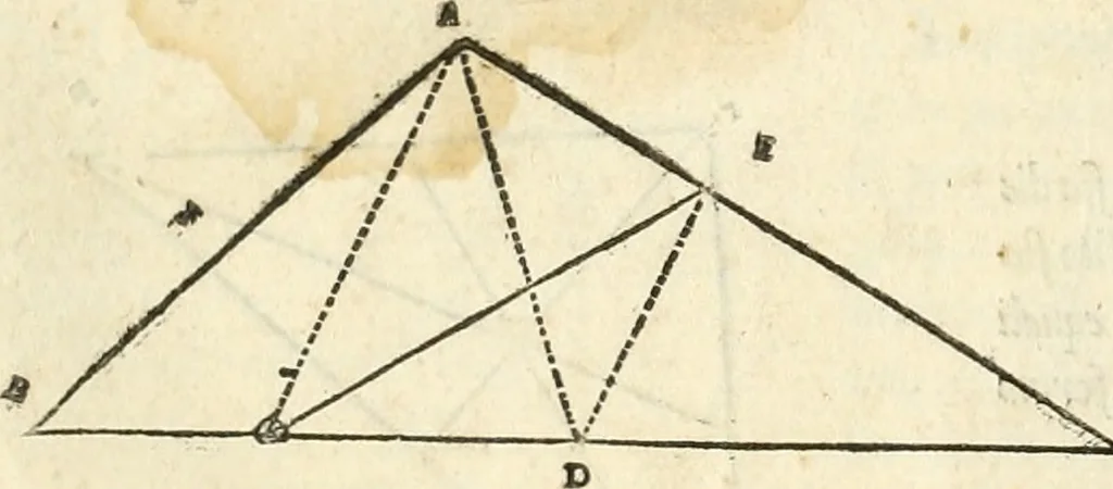 An illustration from Il terzo [-qvinto] libro ..., 1551, leaf 11