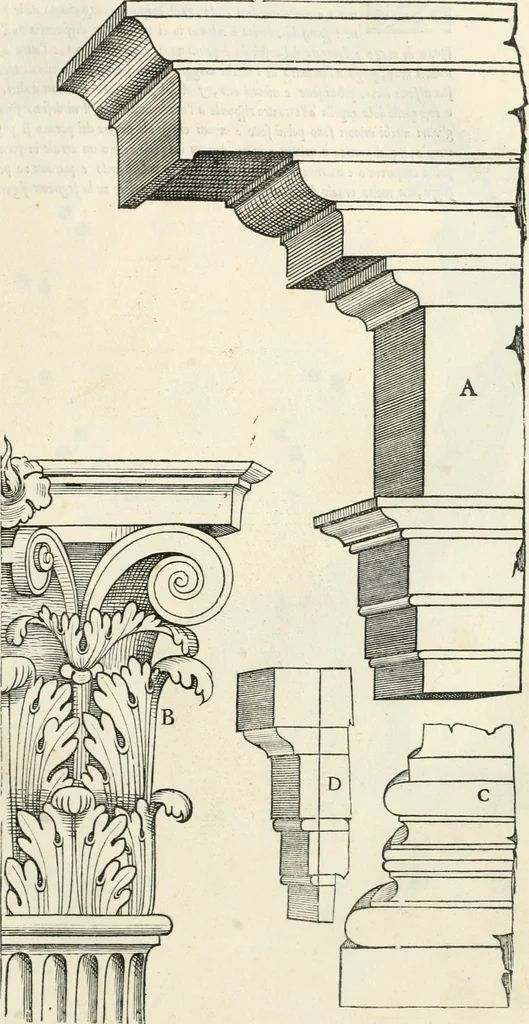 An illustration from Il terzo [-qvinto] libro ..., 1551, leaf 116