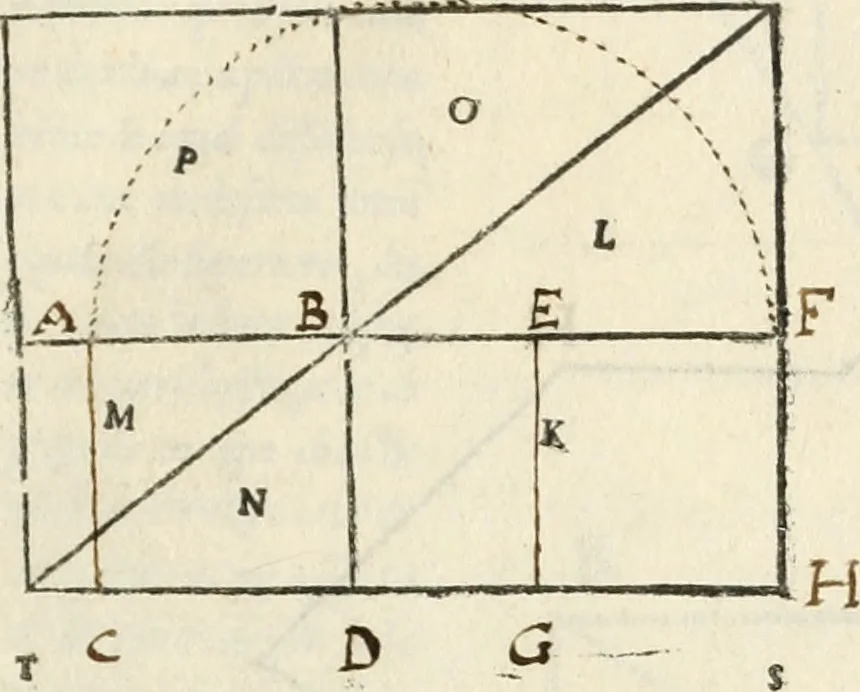 An illustration from Il terzo [-qvinto] libro ..., 1551, leaf 12