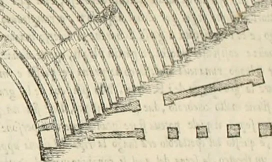 An illustration from Il terzo [-qvinto] libro ..., 1551, leaf 171