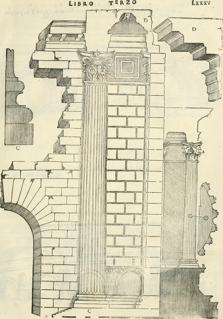 An illustration from Il terzo [-qvinto] libro ..., 1551, leaf 184