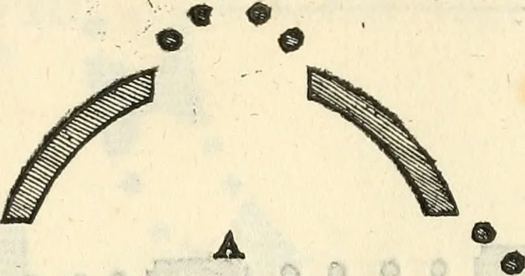 An illustration from Il terzo [-qvinto] libro ..., 1551, leaf 191