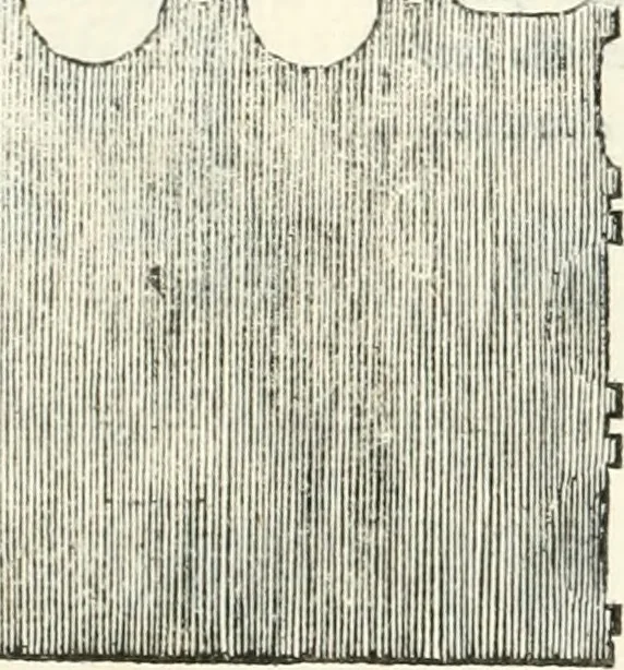 An illustration from Il terzo [-qvinto] libro ..., 1551, leaf 201