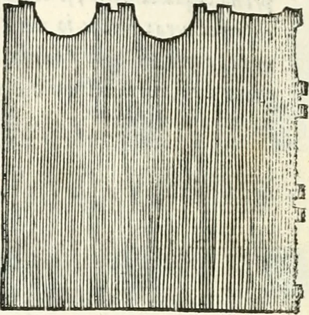 An illustration from Il terzo [-qvinto] libro ..., 1551, leaf 201