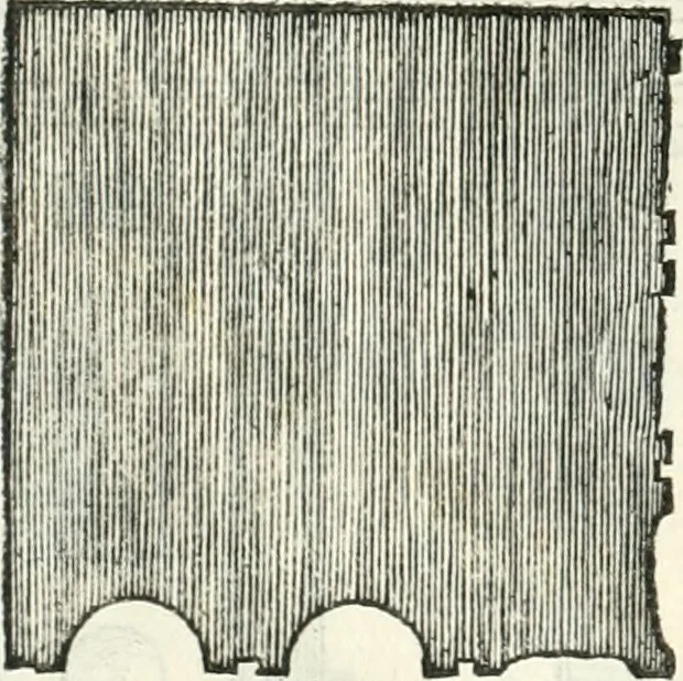 An illustration from Il terzo [-qvinto] libro ..., 1551, leaf 201
