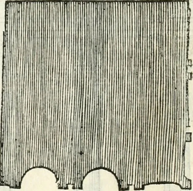 An illustration from Il terzo [-qvinto] libro ..., 1551, leaf 201