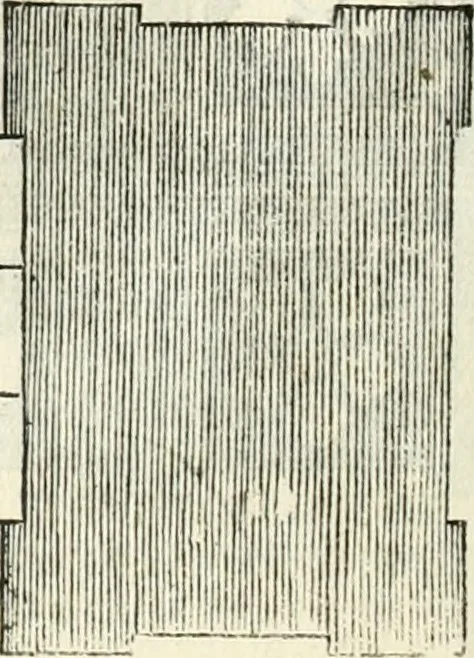 An illustration from Il terzo [-qvinto] libro ..., 1551, leaf 207