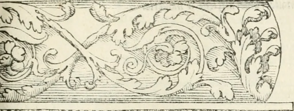 An illustration from Il terzo [-qvinto] libro ..., 1551, leaf 208