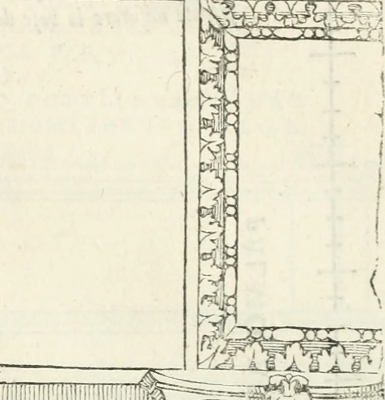 An illustration from Il terzo [-qvinto] libro ..., 1551, leaf 208