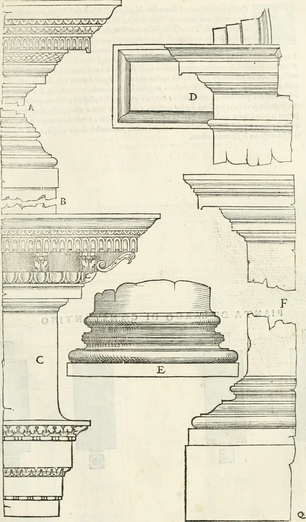 An illustration from Il terzo [-qvinto] libro ..., 1551, leaf 216