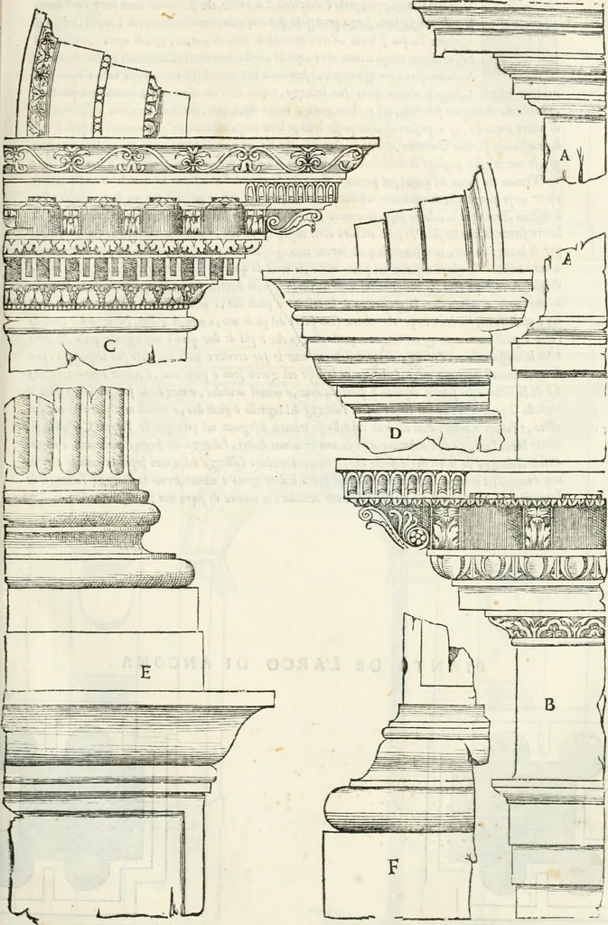 An illustration from Il terzo [-qvinto] libro ..., 1551, leaf 220