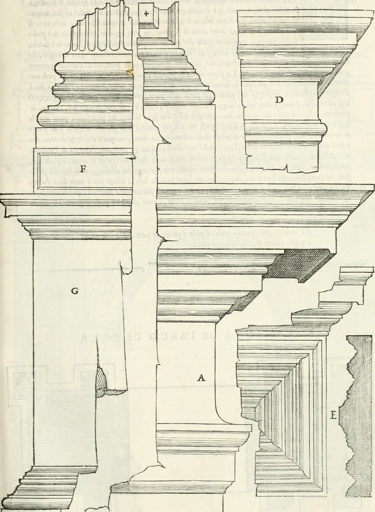 An illustration from Il terzo [-qvinto] libro ..., 1551, leaf 224