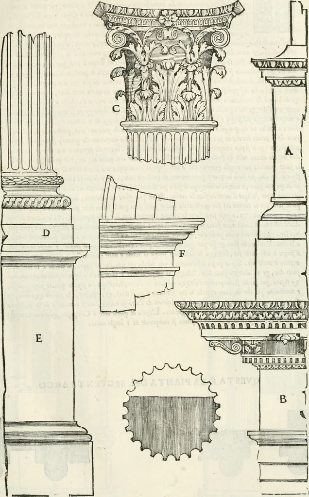 An illustration from Il terzo [-qvinto] libro ..., 1551, leaf 228