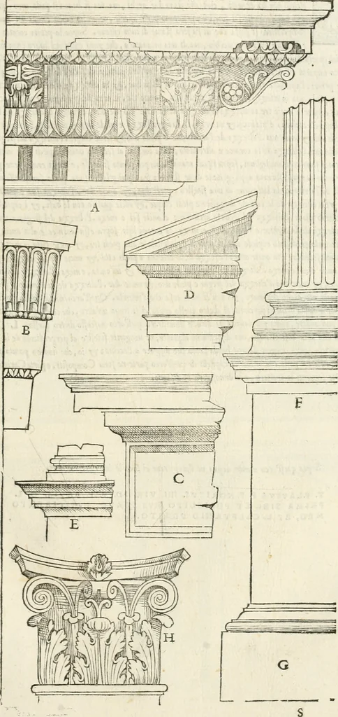 An illustration from Il terzo [-qvinto] libro ..., 1551, leaf 232
