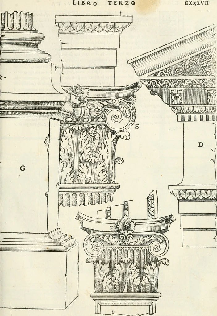 An illustration from Il terzo [-qvinto] libro ..., 1551, leaf 236