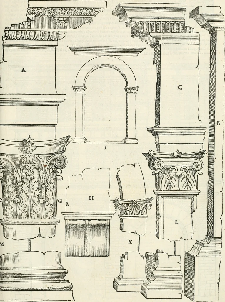 An illustration from Il terzo [-qvinto] libro ..., 1551, leaf 238