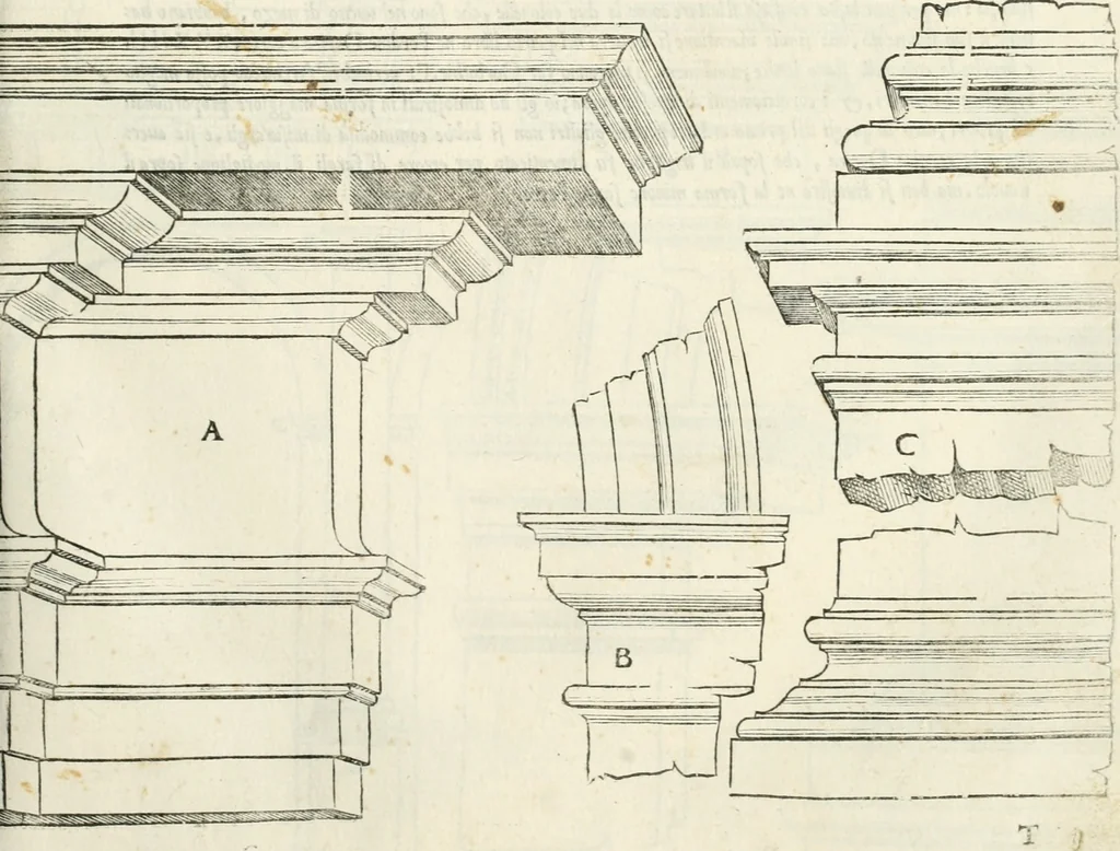 An illustration from Il terzo [-qvinto] libro ..., 1551, leaf 242