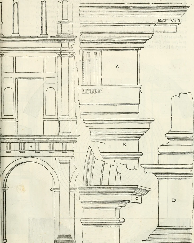 An illustration from Il terzo [-qvinto] libro ..., 1551, leaf 244
