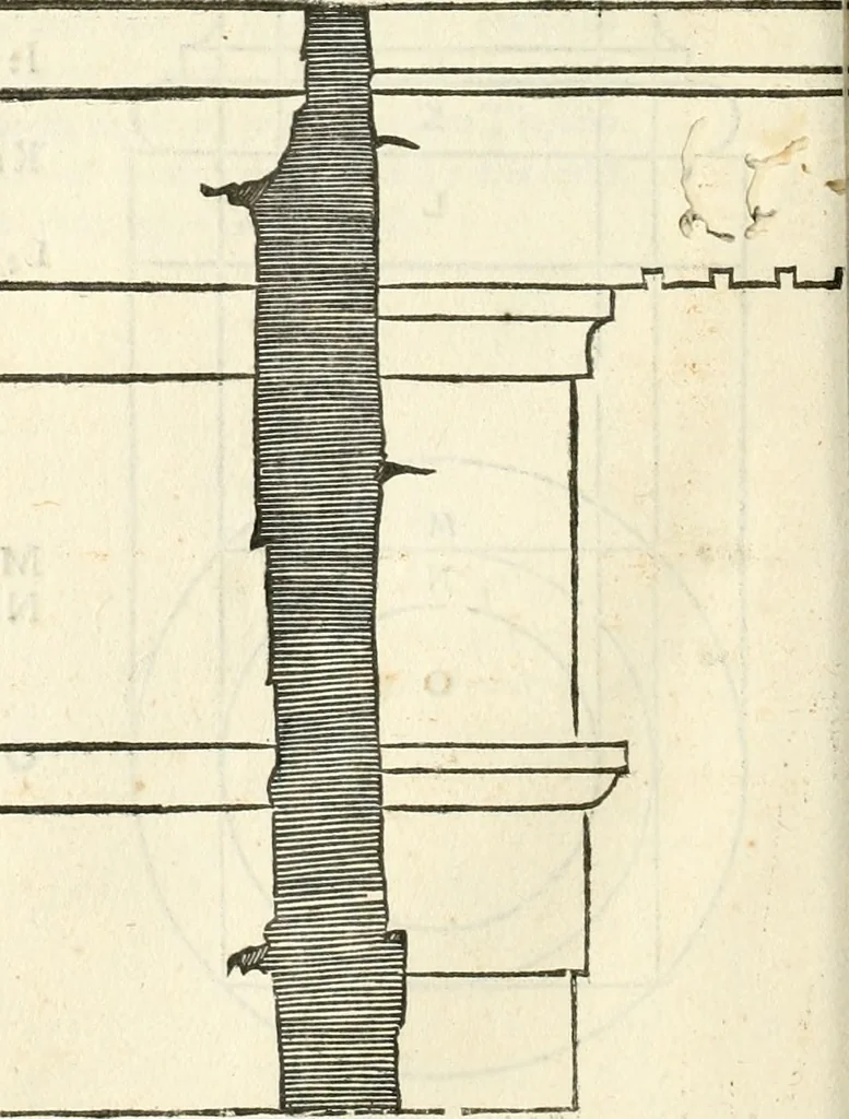 An illustration from Il terzo [-qvinto] libro ..., 1551, leaf 265