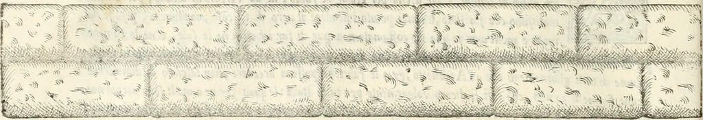 An illustration from Il terzo [-qvinto] libro ..., 1551, leaf 287