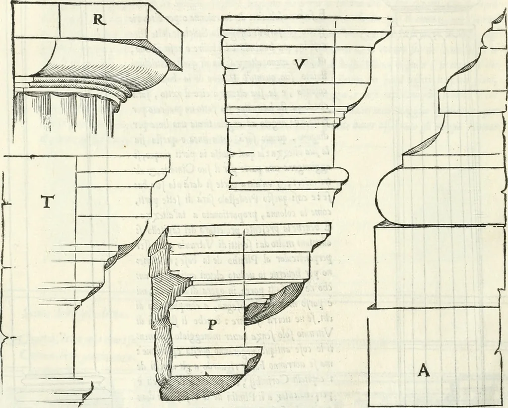 An illustration from Il terzo [-qvinto] libro ..., 1551, leaf 293