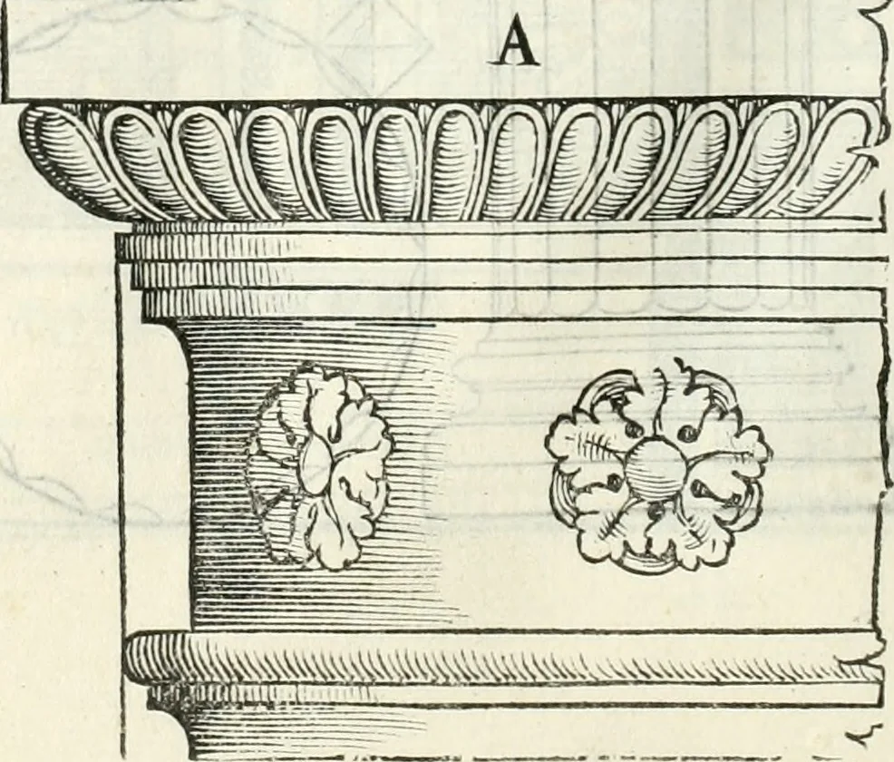 An illustration from Il terzo [-qvinto] libro ..., 1551, leaf 293