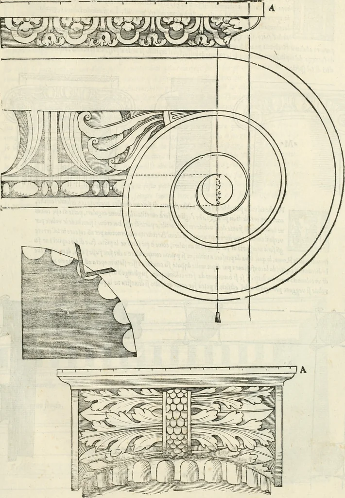 An illustration from Il terzo [-qvinto] libro ..., 1551, leaf 330