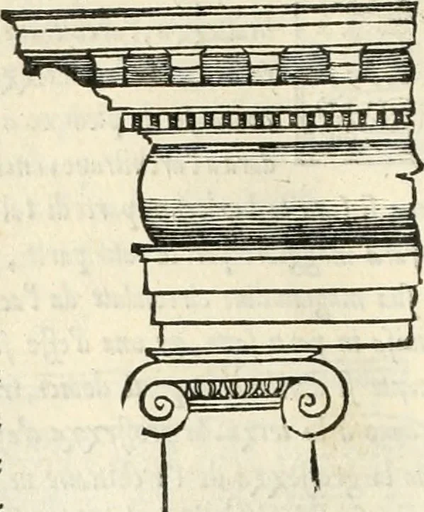 An illustration from Il terzo [-qvinto] libro ..., 1551, leaf 333