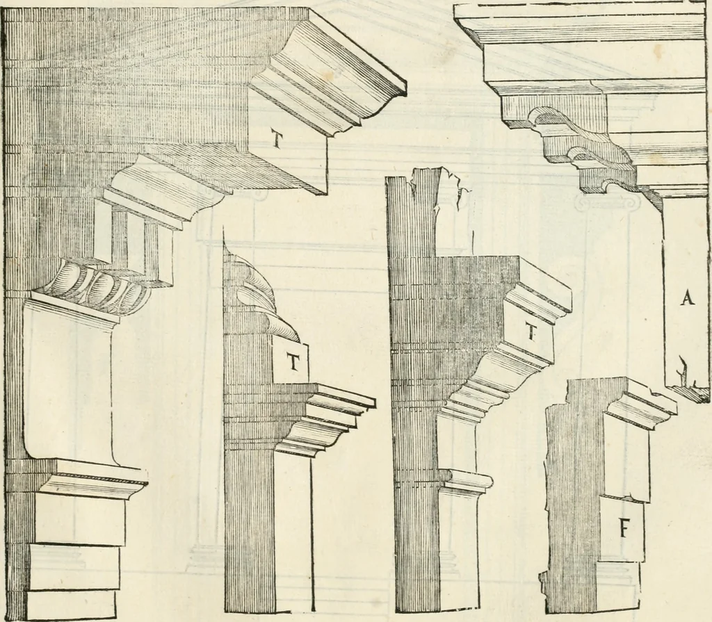 An illustration from Il terzo [-qvinto] libro ..., 1551, leaf 334