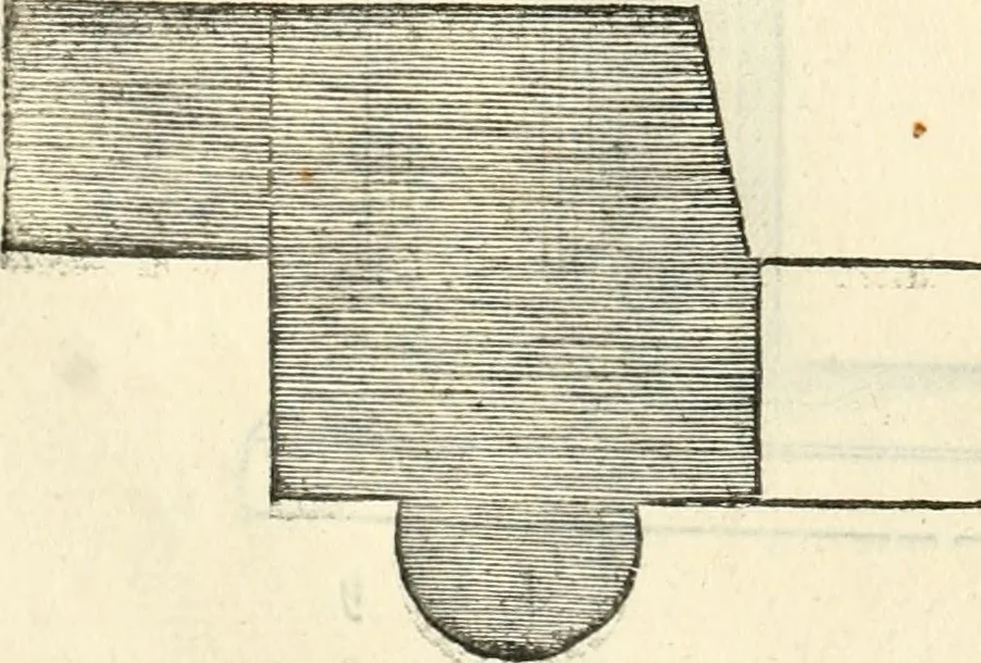 An illustration from Il terzo [-qvinto] libro ..., 1551, leaf 339