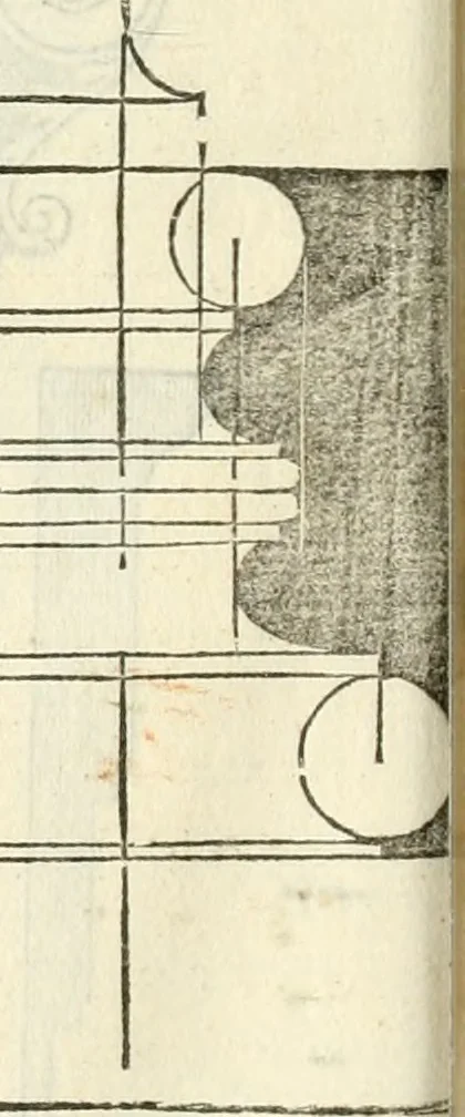 An illustration from Il terzo [-qvinto] libro ..., 1551, leaf 349