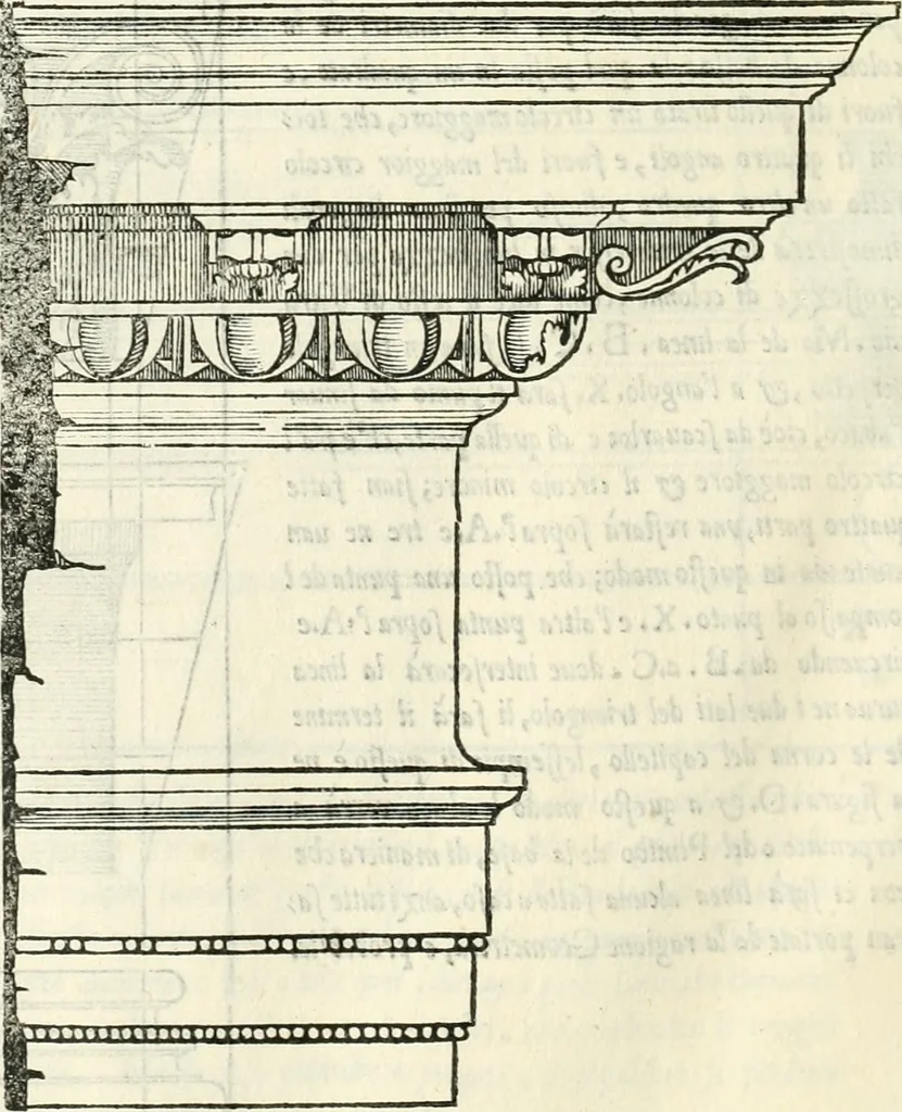 An illustration from Il terzo [-qvinto] libro ..., 1551, leaf 351