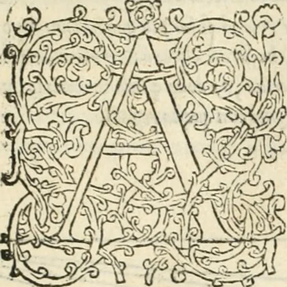 An illustration from Il terzo [-qvinto] libro ..., 1551, leaf 36