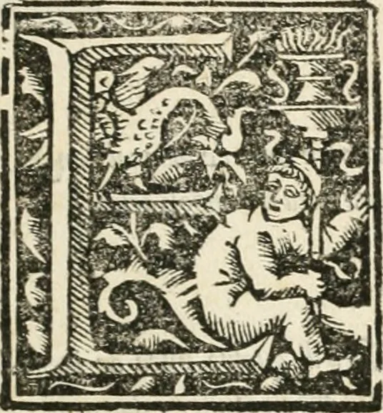 An illustration from Il terzo [-qvinto] libro ..., 1551, leaf 6