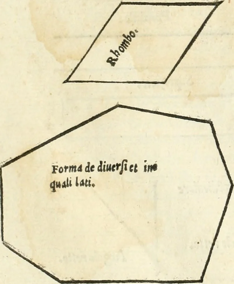 An illustration from Il terzo [-qvinto] libro ..., 1551, leaf 7