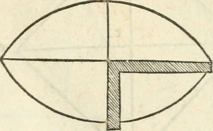 An illustration from Il terzo [-qvinto] libro ..., 1551, leaf 8