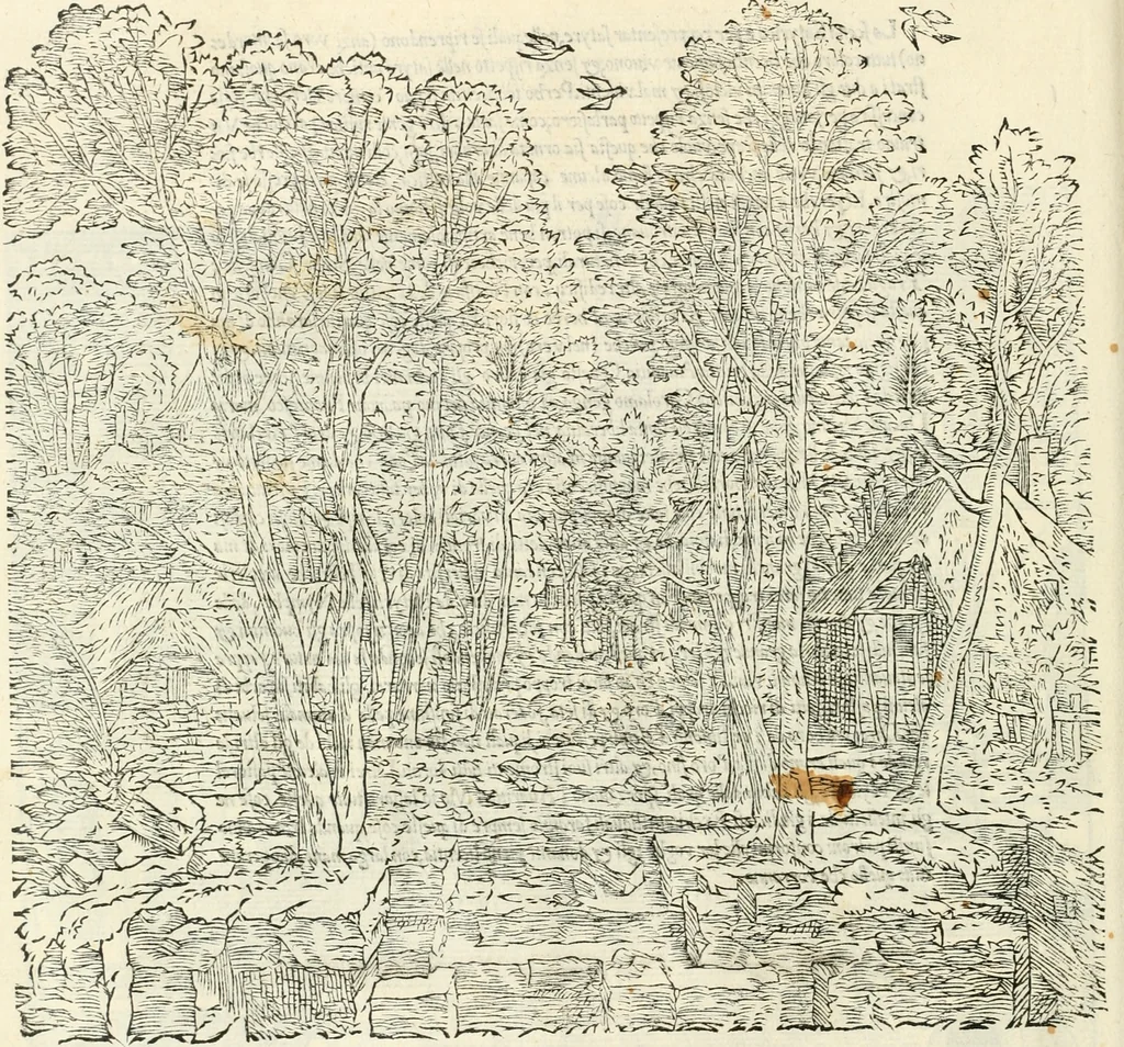 An illustration from Il terzo [-qvinto] libro ..., 1551, leaf 95