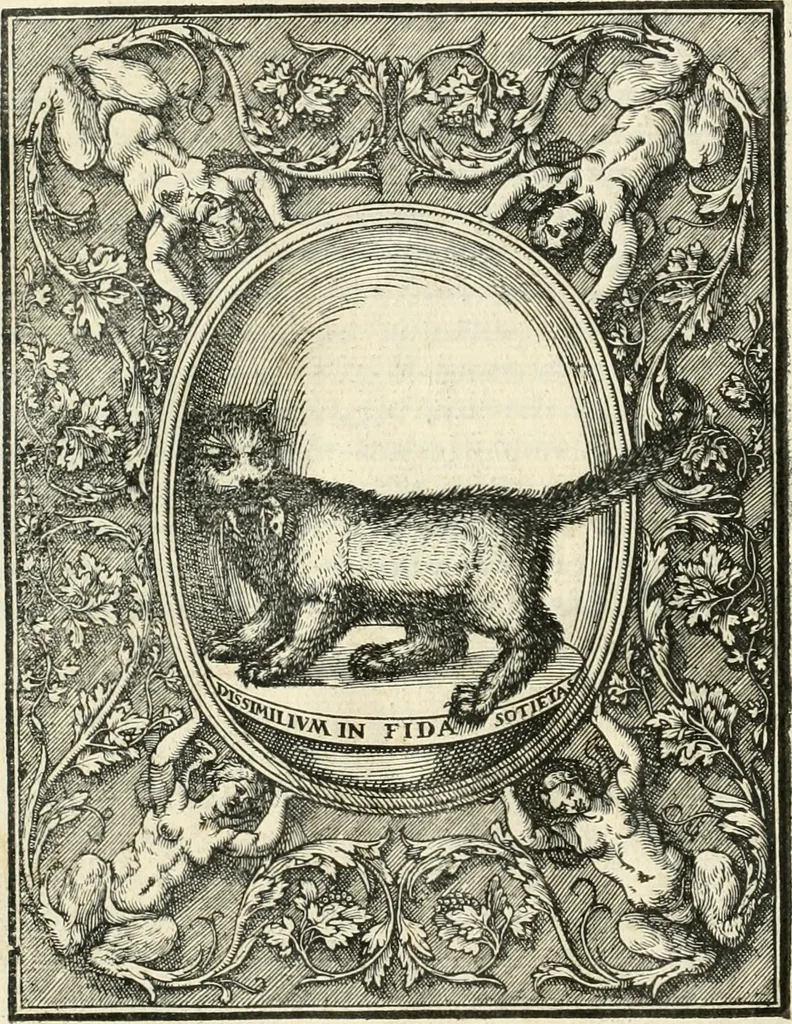 An illustration from Il terzo [-qvinto] libro ..., 1551, leaf 99